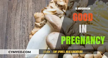 Nourishing Growth: The Benefits of Mushrooms During Pregnancy