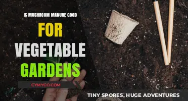 Boosting Garden Growth: The Benefits of Mushroom Manure for Vegetables