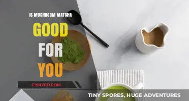 Mushroom Matcha Benefits: Unlocking Health and Wellness Potential