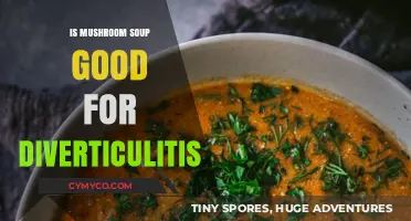 Exploring the Benefits of Mushroom Soup for Diverticulitis Relief