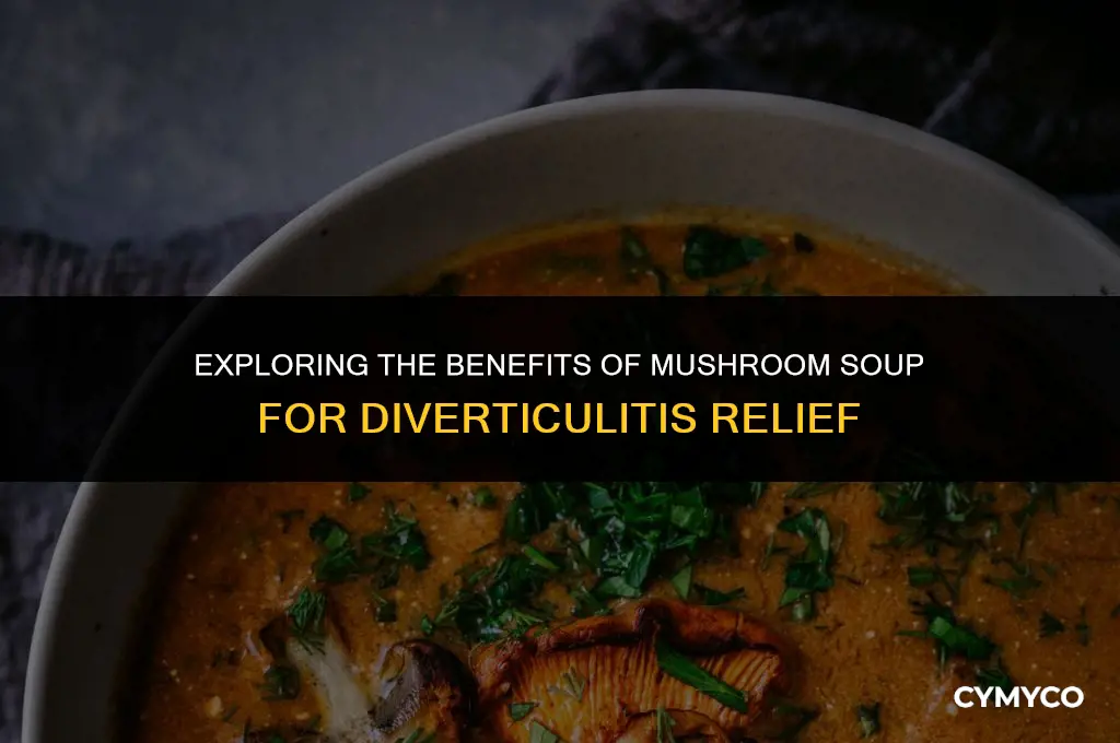 is mushroom soup good for diverticulitis