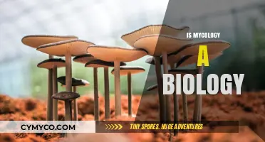 Exploring the Fascinating World of Mycology: Is It Truly a Branch of Biology?