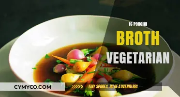 Exploring the Richness of Porcini Broth: A Vegetarian's Delight