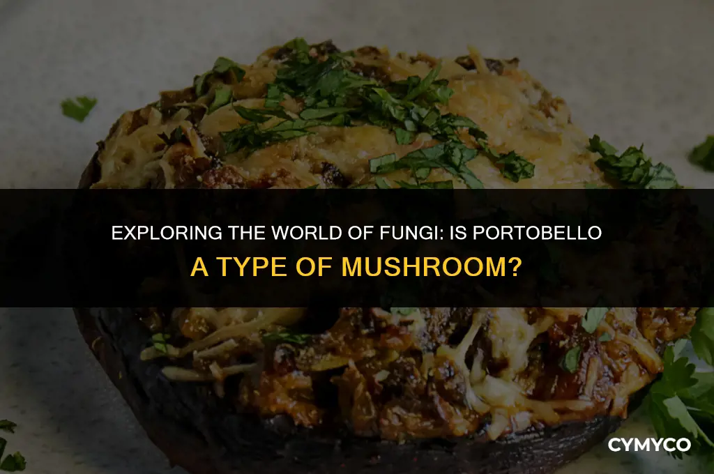 is portobello a type of mushroom