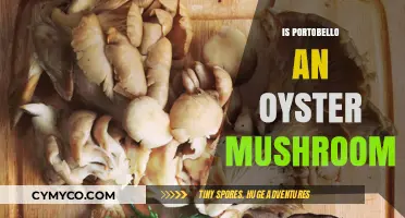 Exploring the Rich World of Mushrooms: Is Portobello an Oyster Mushroom?