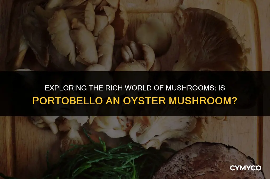 is portobello an oyster mushroom
