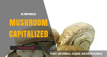 The Great Portobello Mushroom Capitalization Debate: A Linguistic Exploration