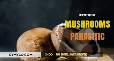 Exploring the Symbiotic Relationship Between Portobello Mushrooms and Their Hosts