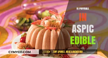 Exploring the Edibility of Puffball in Aspic: A Culinary Adventure