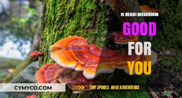 Unlocking Wellness: The Surprising Benefits of Reishi Mushrooms