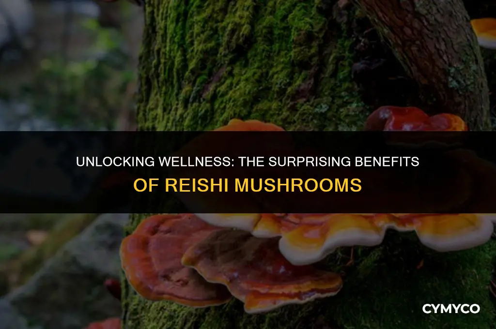 is reishi mushroom good for you