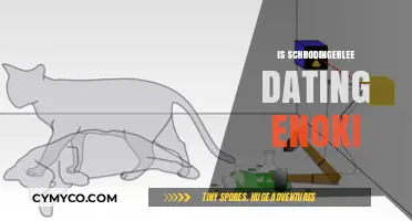 Quantum Love: Unraveling Schrödinger's Dating Life with Enoki