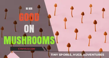 Exploring the Effects: Psilocybin Mushrooms and Sexual Experience