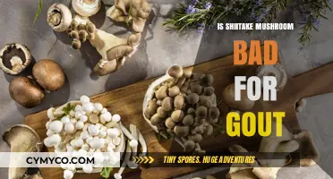Shiitake Mushrooms and Gout: Are They Safe to Eat?