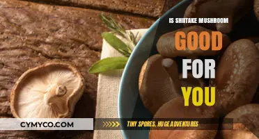 Exploring the Health Benefits of Shiitake Mushrooms: A Nutritional Guide