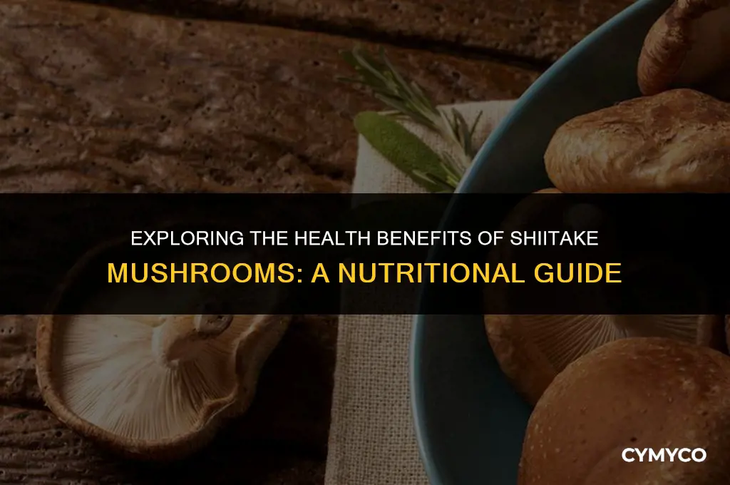 is shiitake mushroom good for you