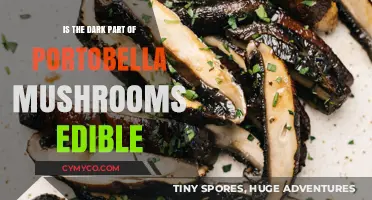 Exploring the Edibility of Portobello Mushrooms' Dark Side