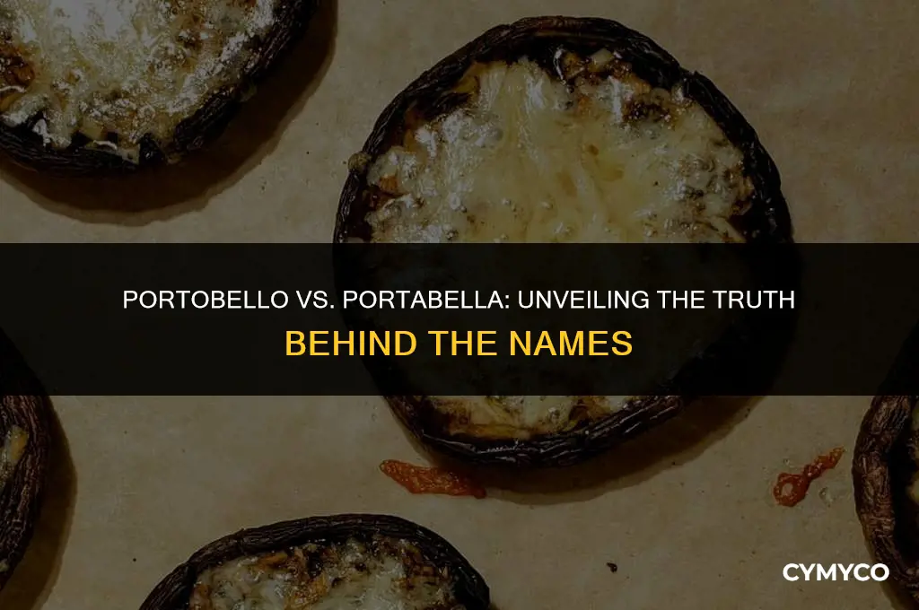 is there a difference between portobello and portabella mushrooms