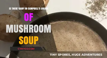 Does Campbell's Cream of Mushroom Soup Contain Dairy? Find Out Here