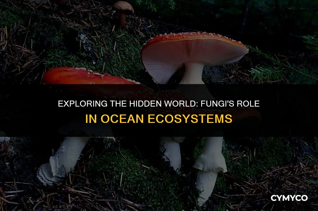 is there fungi in the ocean