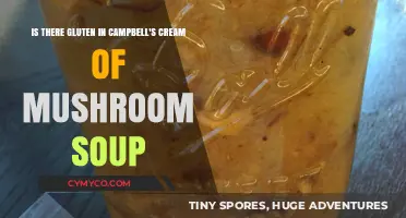 Does Campbell's Cream of Mushroom Soup Contain Gluten? Find Out Here