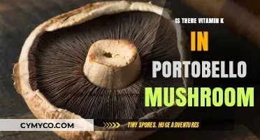 Exploring the Nutritional Benefits: Vitamin K in Portobello Mushrooms