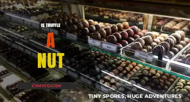 Decoding the Truffle Myth: Is This Delicacy Truly a Nut?