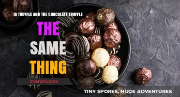 Decoding the Delicious: Truffles vs. Chocolate Truffles Explained