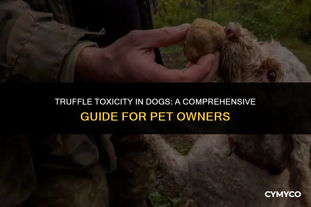is truffle bad for dogs