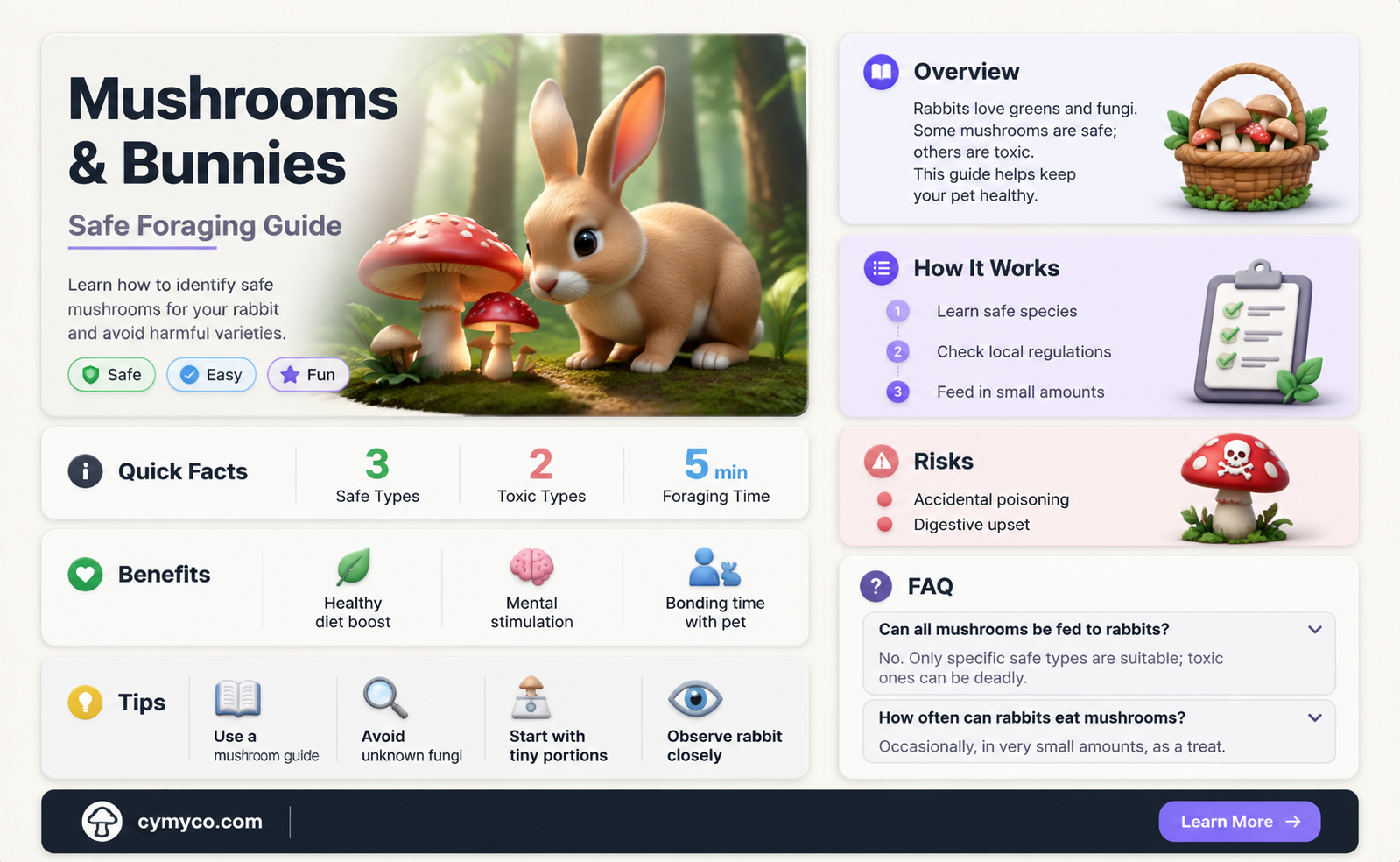 are mushrooms bad for rabbits