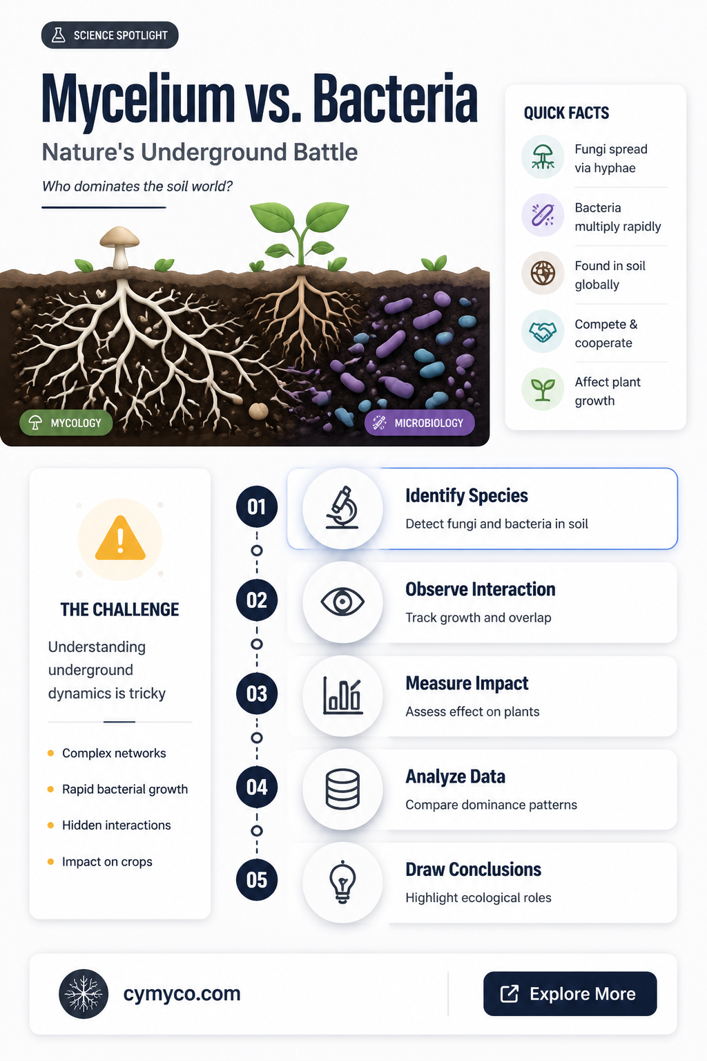 can mycelium beat bacteria