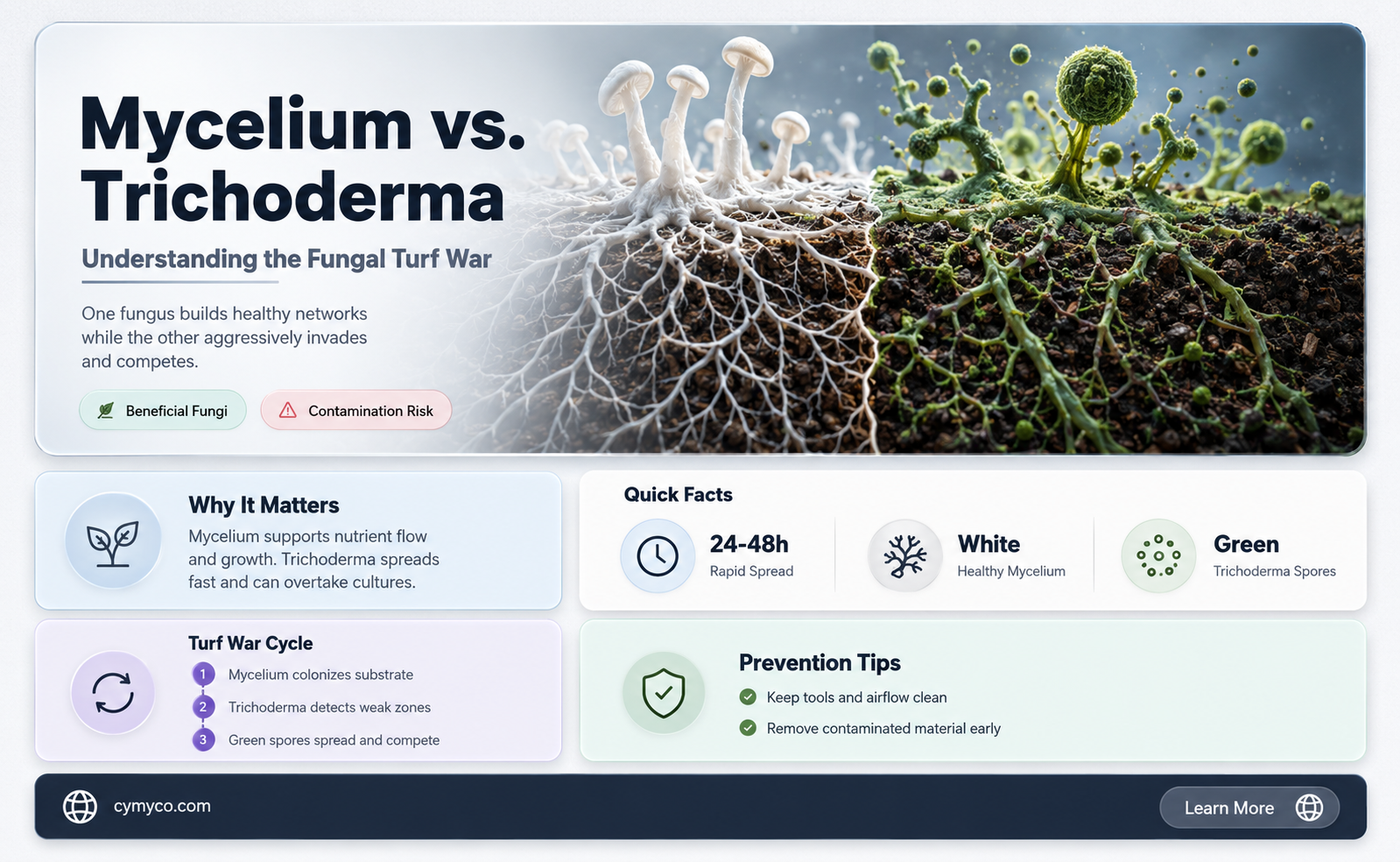 can mycelium kill trichoderma
