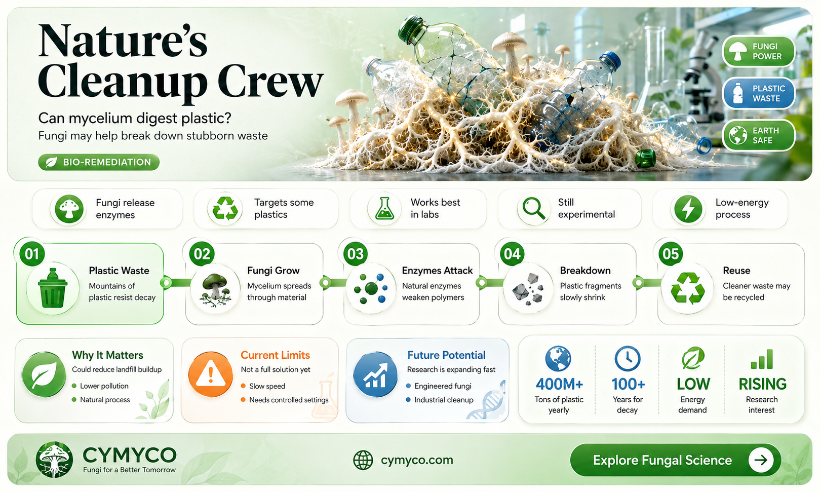 can mycelium eat plastic