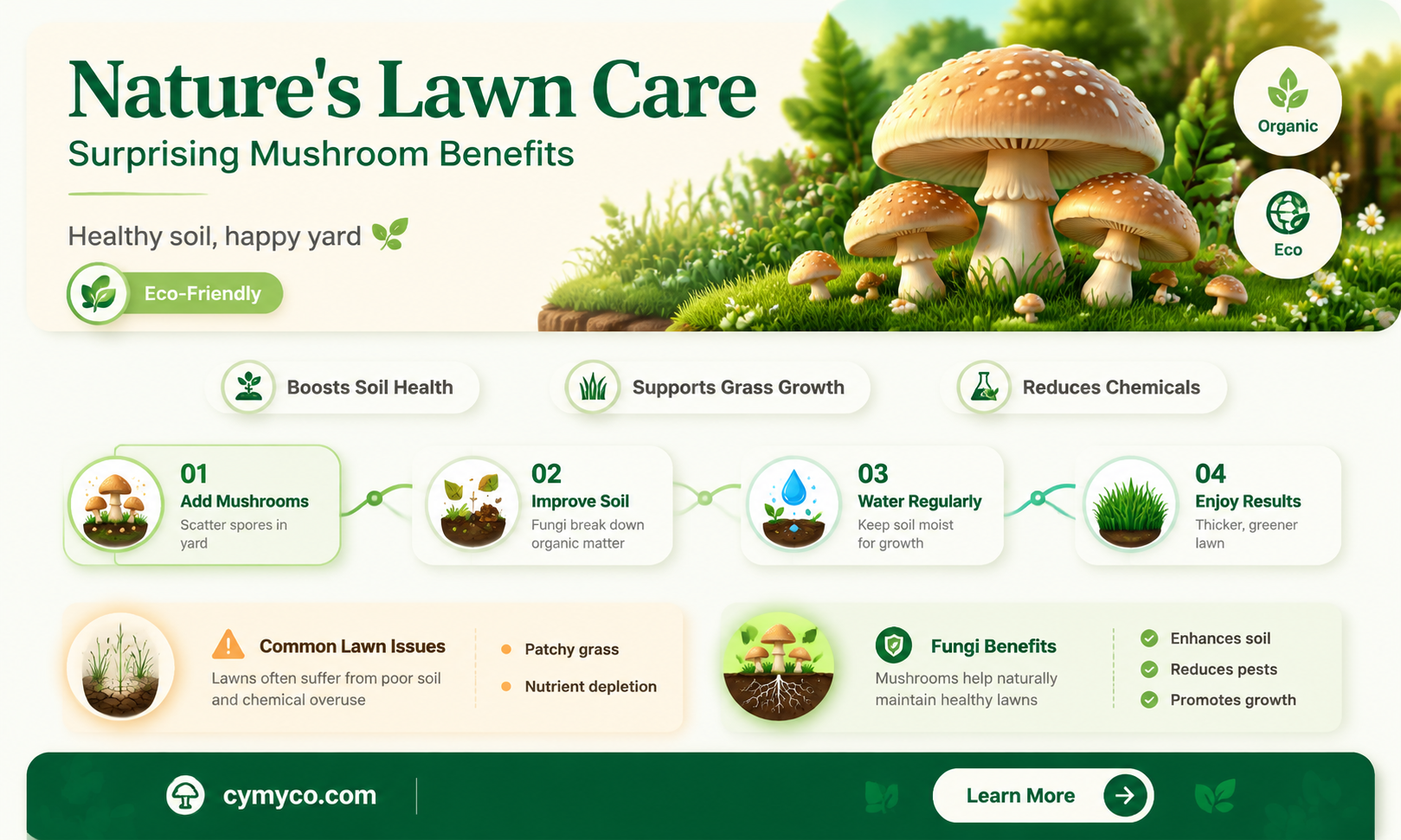 why do mushrooms grow on lawns