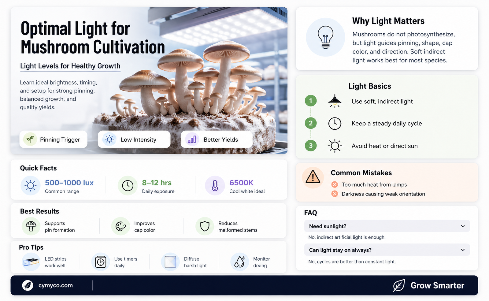 how much light cultivate mushrooms