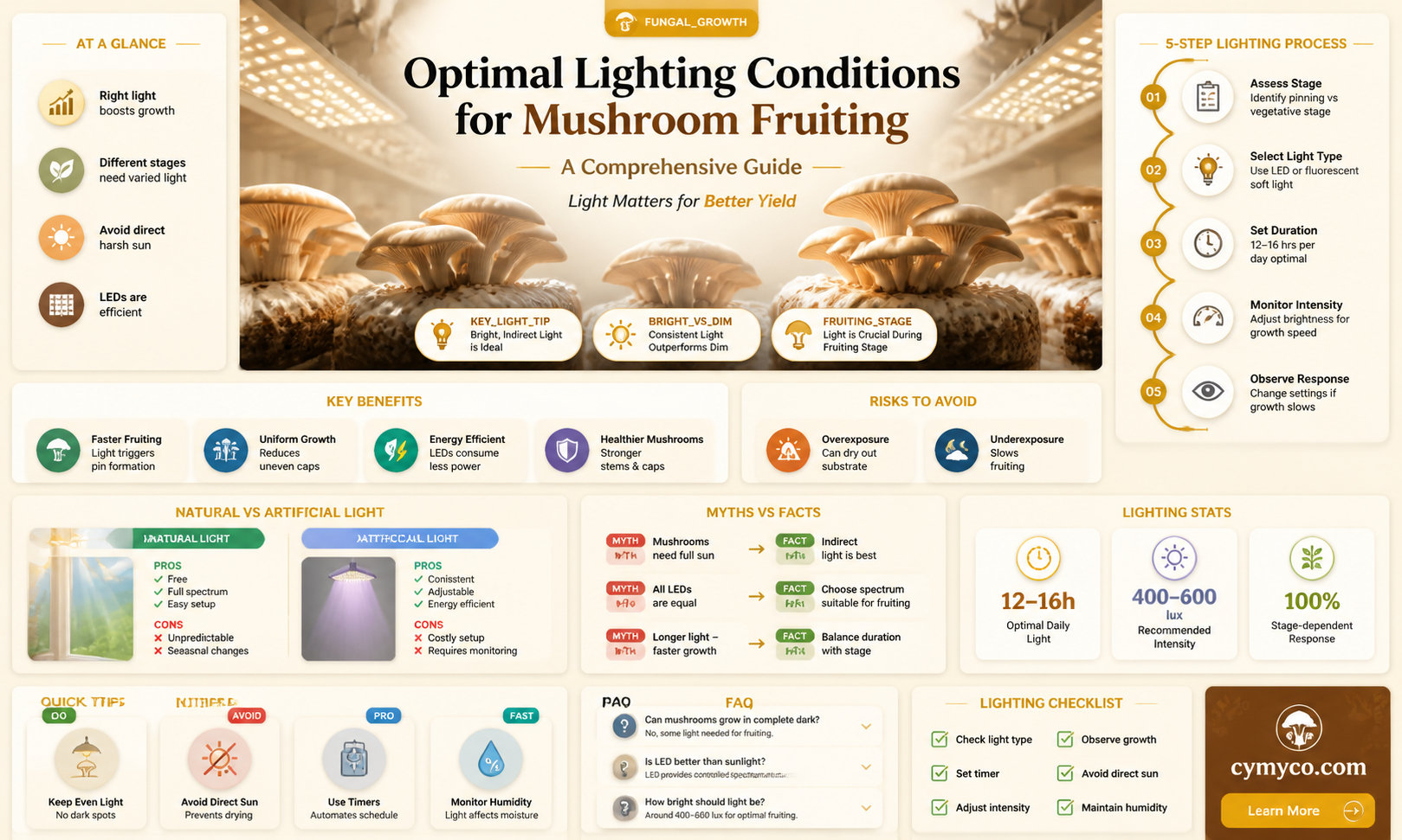 how much light do mushrooms need to fruit