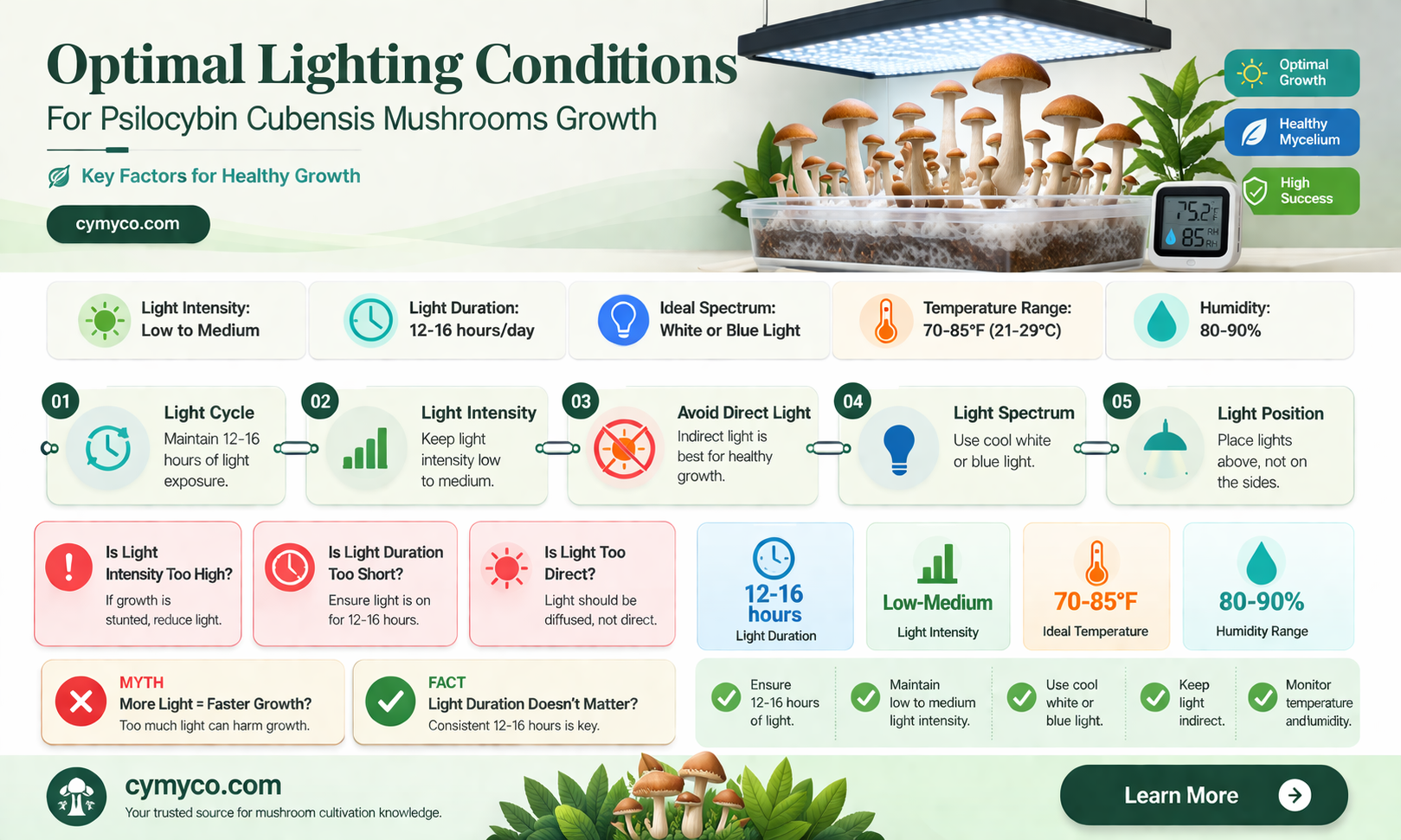 how much light do pscilocybyn cubensus mushrooms need