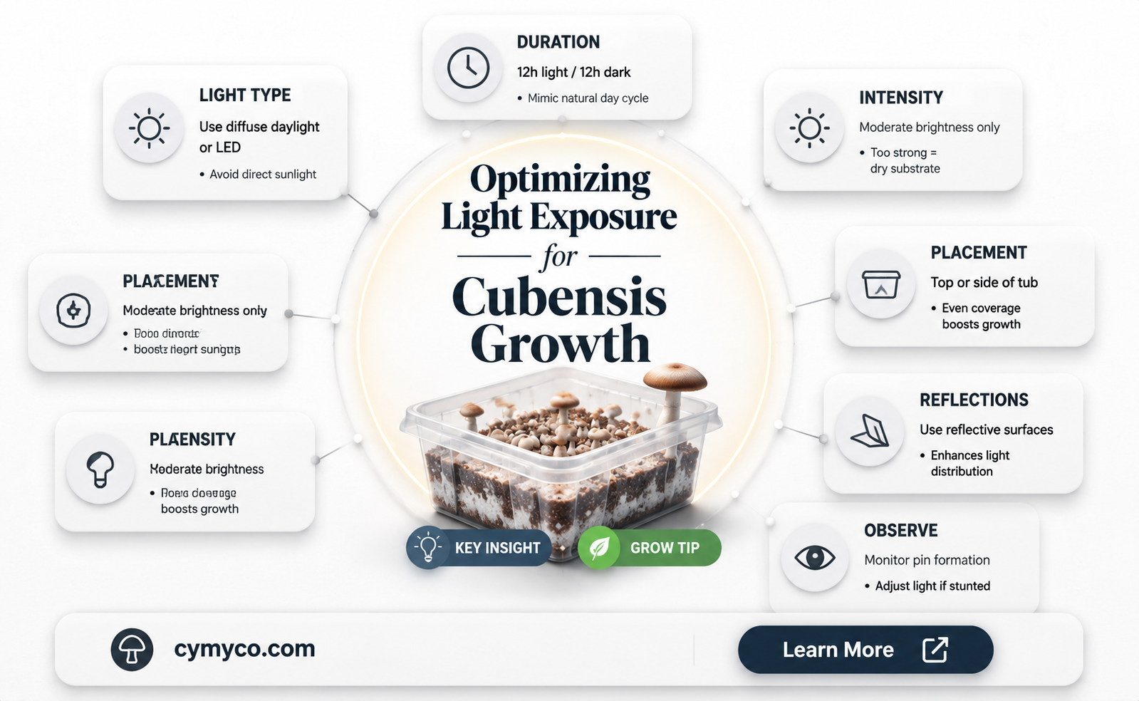 how much light does cubensis mushroom mono tub