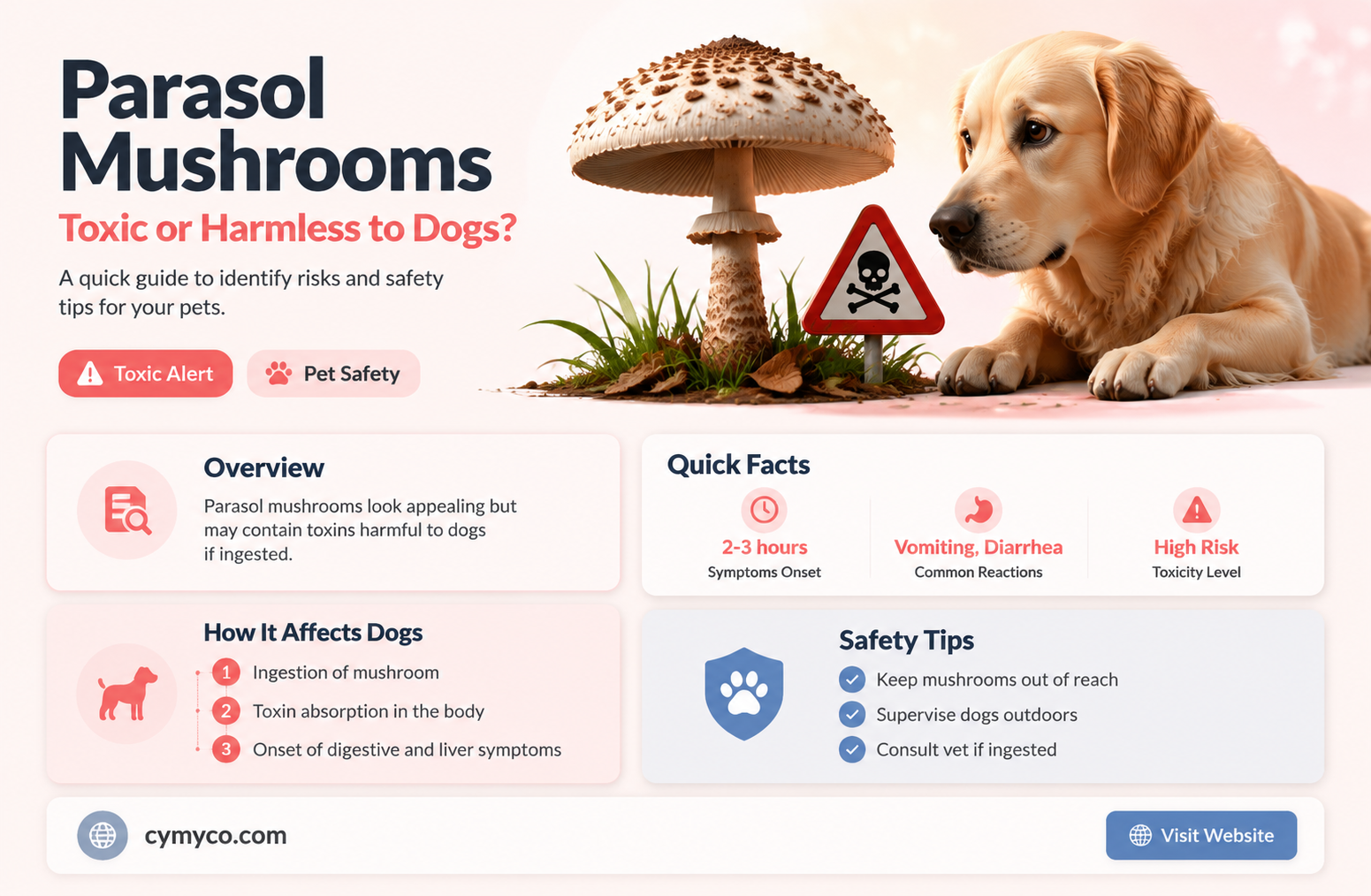 are parasol mushrooms poisones to dogs