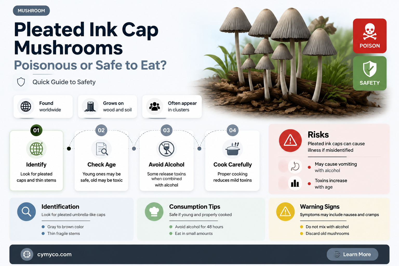 are pleated ink cap mushrooms poisonous