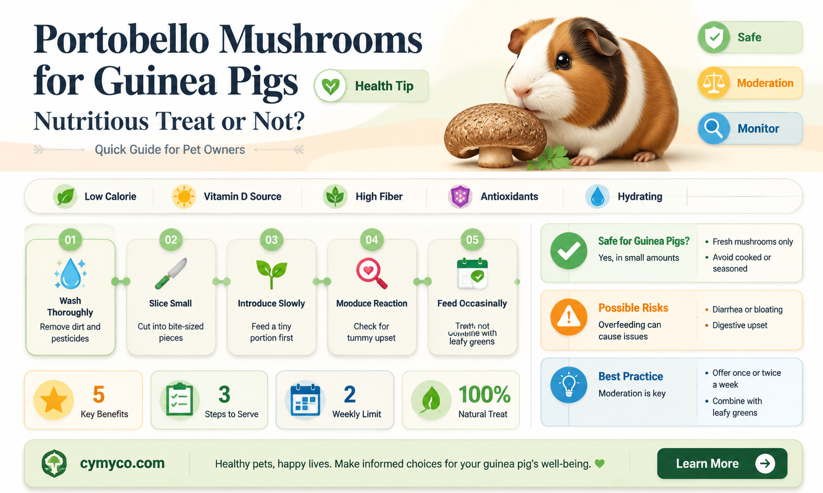 can guinea pigs eat portobello mushrooms