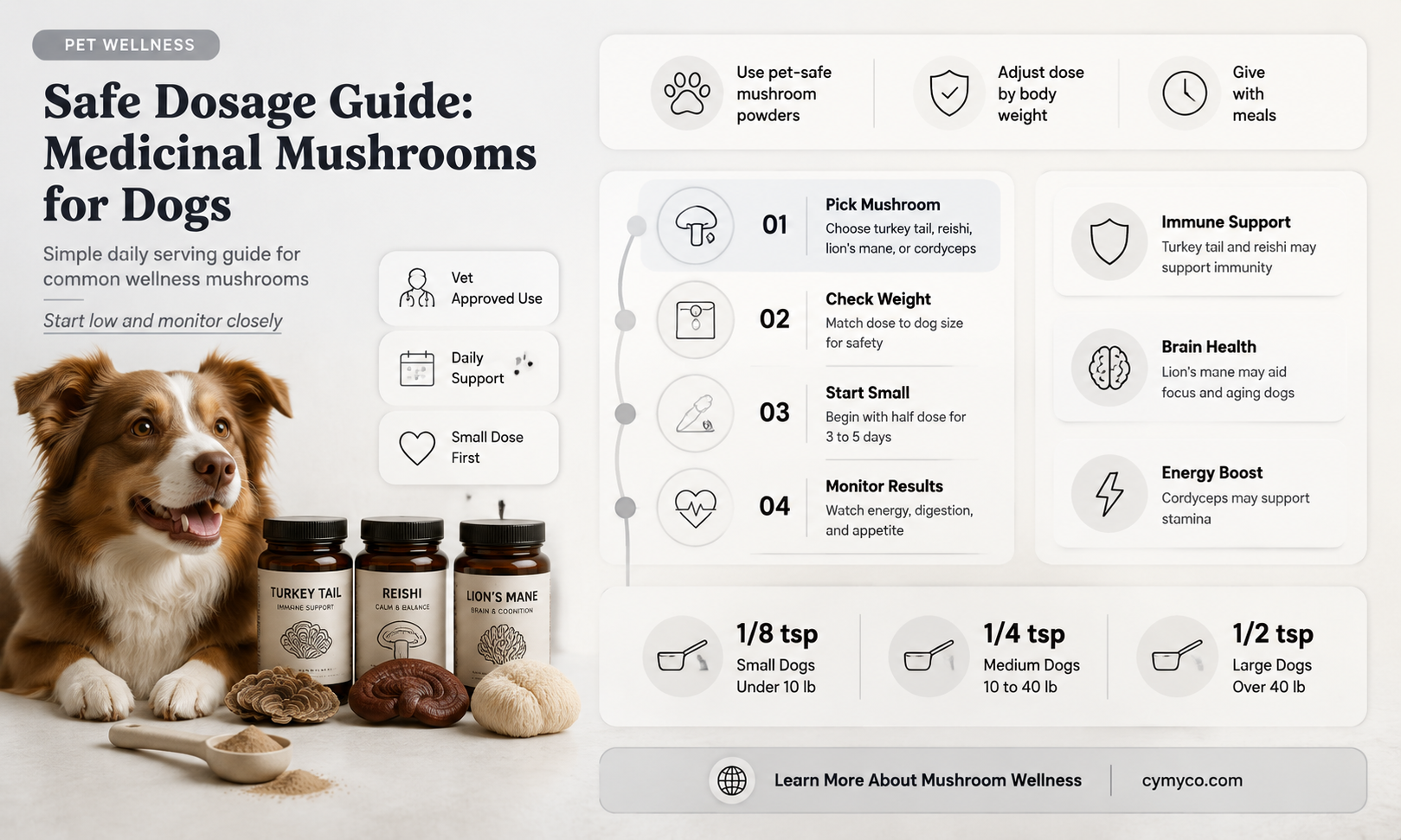 how much medicianl mushrooms to give to dog