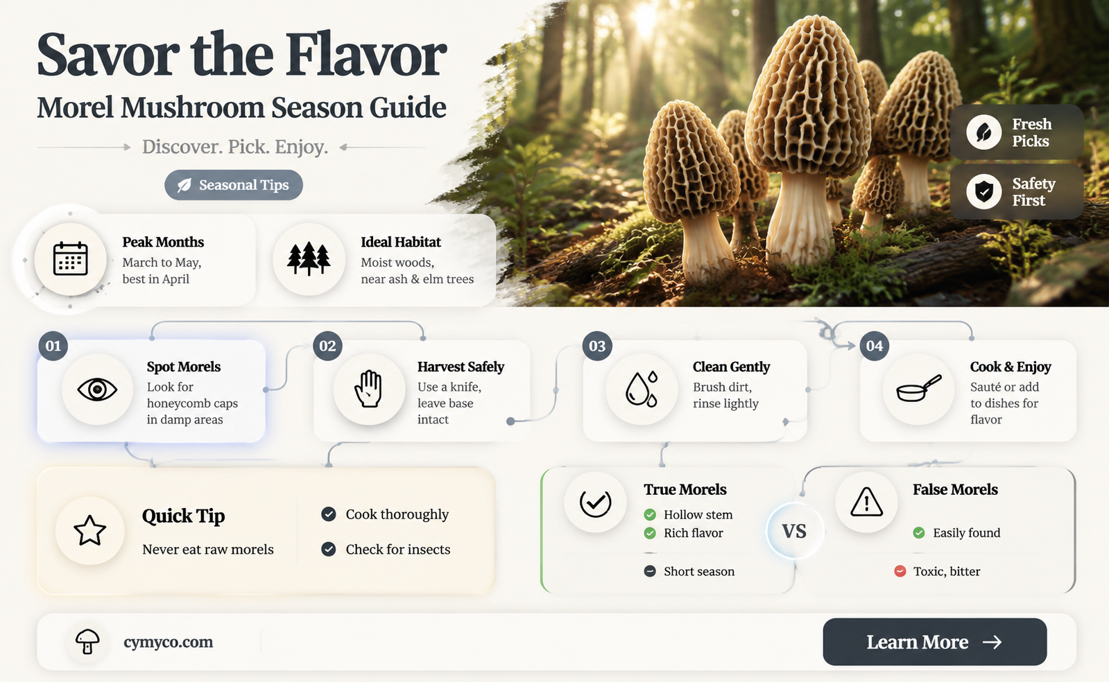 when are morels in season
