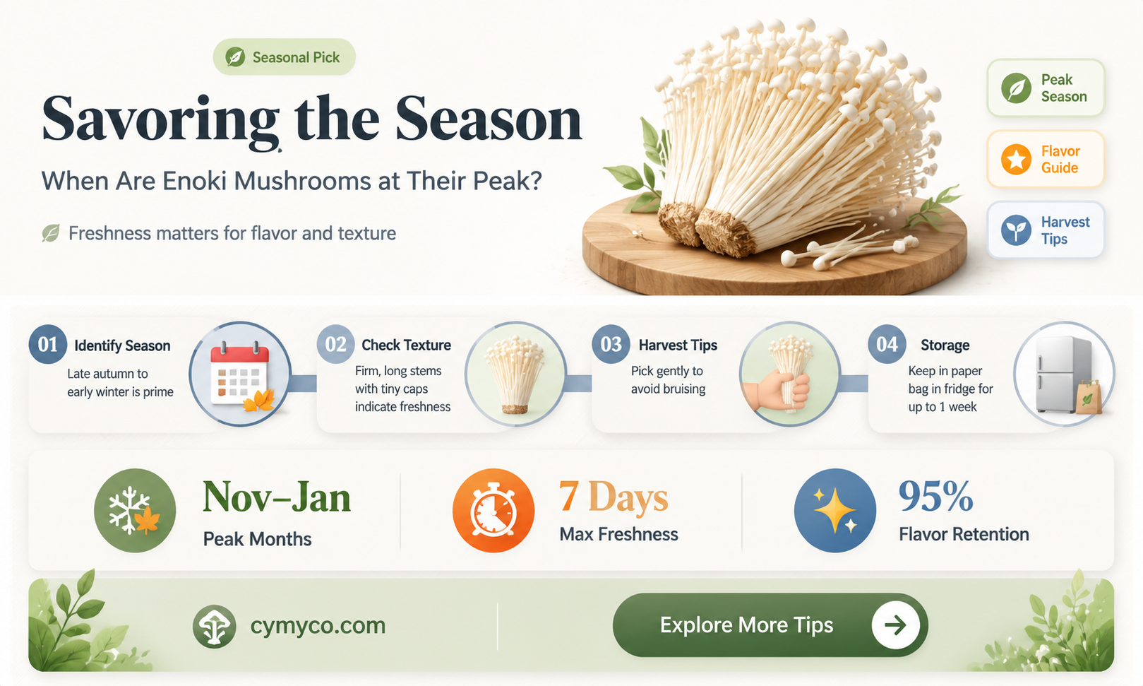 when are enoki mushrooms in season