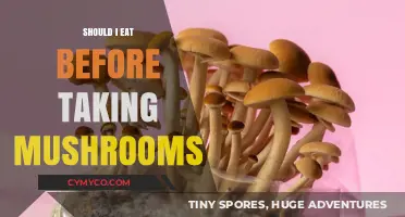 Should You Eat Before Taking Mushrooms? Pre-Trip Meal Tips