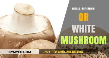 Choosing Between Cremini and White Mushrooms: A Culinary Dilemma