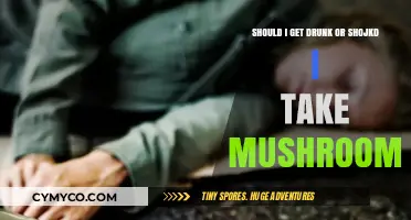 Exploring Intoxication Options: Weighing the Risks and Effects