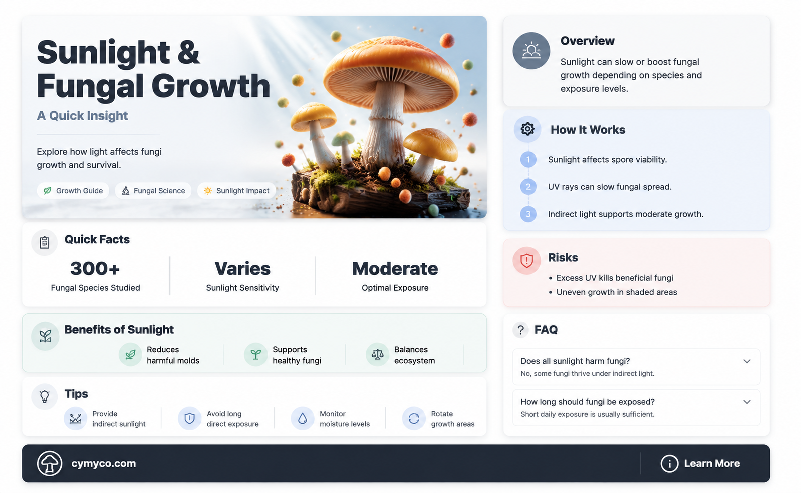 do fungi need sunlight