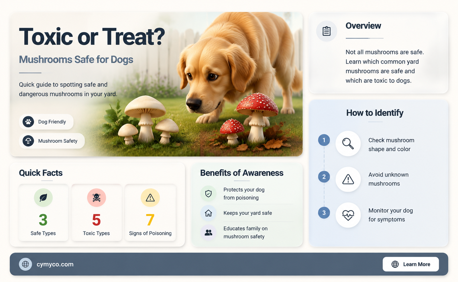 are mushrooms that grow in your yard poisonous to dogs