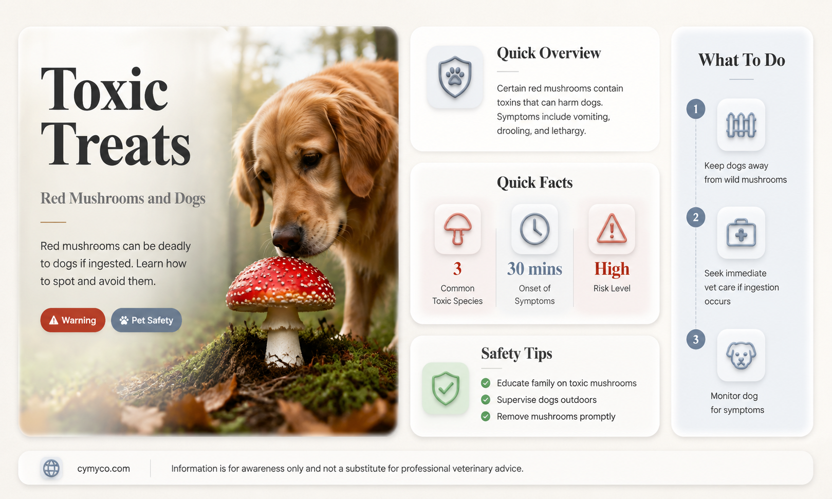 are red mushrooms poisonous for dogs